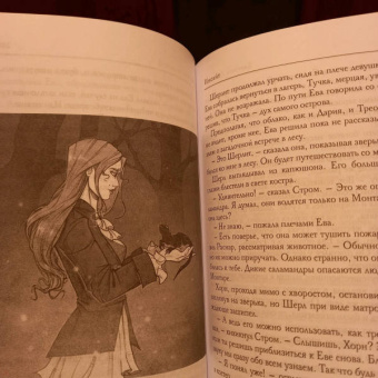 Евгения Левицки: Инсайт. Книга I