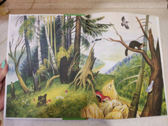 Николай Сладков: Бюро лесных услуг