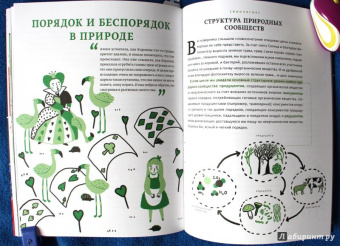 Баюк, Виноградова, Кноп: Алиса в Стране наук