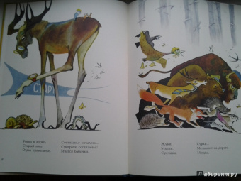 Юрий Коринец: Лесное состязание