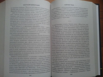 Анатолий Байбородин: Озёрное чудо