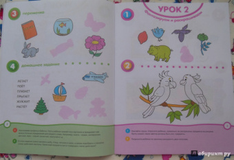 Ольга Земцова: Развивай-ка (5-6 лет) с наклейками