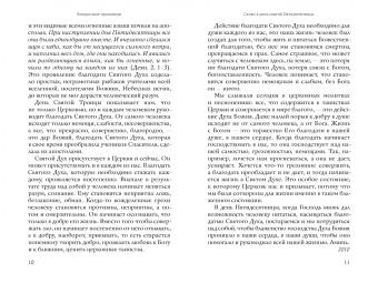 Максим Игумен: Проповеди. Том 1