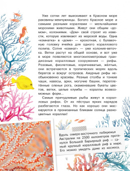 Александр Тамбиев: Как увидеть морское дно?