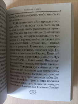 Пастырь Ерма