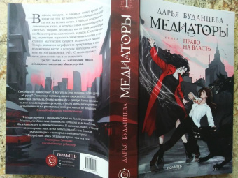 Дарья Буданцева: Медиаторы. Книга 1. Право на власть