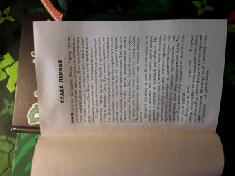 Стефан Петручо: Человек-Паук. Вечная юность