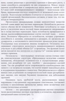 Сахно, Ватников, Шевченко: География и техногенез эндемических болезней животных. Учебное пособие