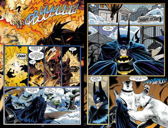 Пол Дини: Бэтмен. Мистер Фриз