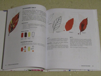 Анна Колядыч: Гуашь за 4 простых шага. Рисуем популярные сюжеты в самой легкой технике