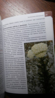Александр Ефремов: Дикорастущие лекарственные растения средней полосы России:  карманный справочник