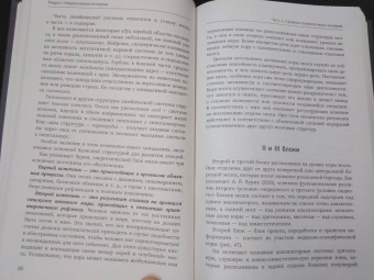 Татьяна Визель: Основы нейропсихологии. Теория и практика