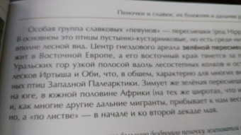 Константин Михайлов: Лесные птицы России