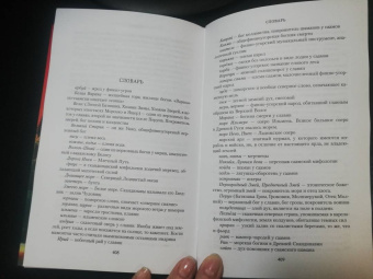 Анна Гурова: Дети Змея. Книга 1. Колдун со Змеева моря