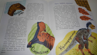 Елена Середа: Русские динозавры