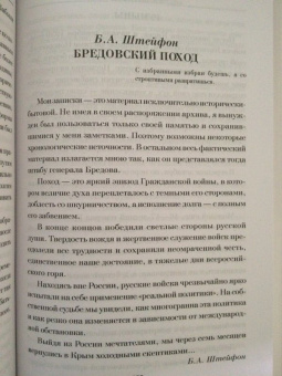 Борис Штейфон: Кризис добровольчества. Бредовский поход