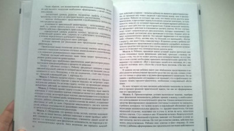 Елена Стребелева: Пути формирования наглядных форм мышления у дошкольников с нарушением интеллекта