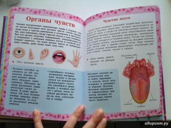 Мерников, Шереметьева, Спектор: Как все устроено и как это работает