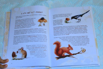 Михаил Вишневский: Грибы. Атлас-определитель