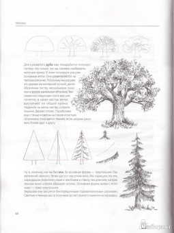 Уте Людвиг-Кайзер: Каждый может рисовать. Первые шаги