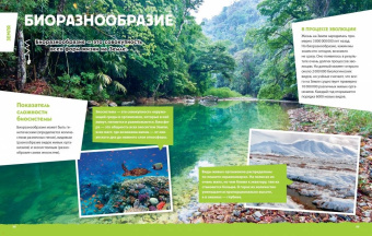 Современная большая детская энциклопедия