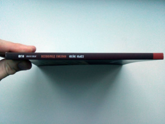 Всеволод Емелин: Фейк ньюз