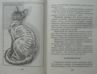 Мария Солодова: Чего хочет ваша кошка
