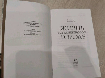 Гис, Гис: Жизнь в средневековом городе