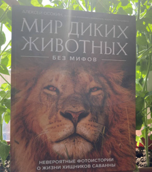 Алексей Осокин: Мир диких животных без мифов. Невероятные фото-истории о жизни хищников саванны