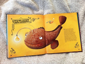 Конечна, Нова: Чудо-животные. Странные, хитрые, забавные…