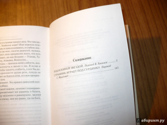 Кнут Гамсун: Под осенней звездой. Странник играет под сурдинку