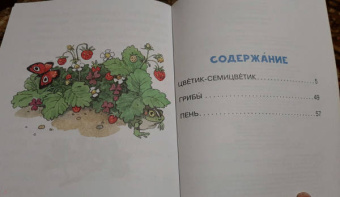 Валентин Катаев: Цветик-Семицветик