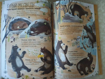 Зоммер, Тейлор: Большая книга зверей