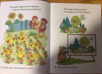 Елена Бортникова: Веселые задания для детей 4-5 лет (розовая)