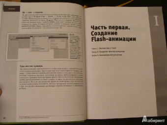 Крис Гровер: Flash CS5. Практическое руководство +DVD