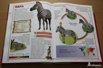 Моя первая книга о животных