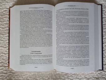 Ле Фаню Джозеф Шеридан: Дом у кладбища. В тусклом стекле