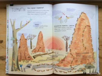 Зоммер, Тейлор: Большая книга букашек