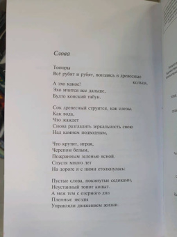 Сильвия Плат: Ариэль
