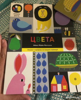Айно-Майя Метсола: Цвета