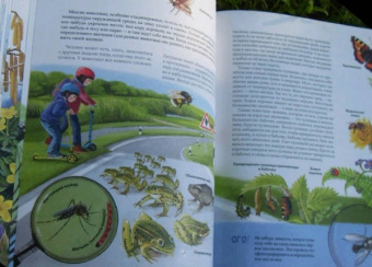 Юлия Смирнова: Природа в городе