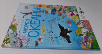 Амандин Тома: Через океаны