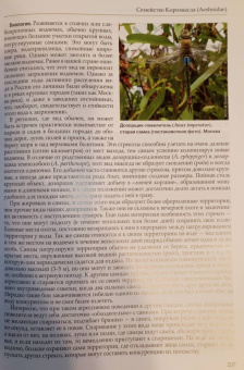 Онишко, Костерин: Стрекозы России. Иллюстрированный атлас-определитель