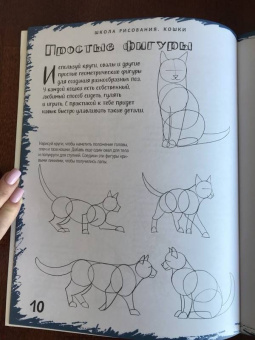 Марк Берджин: Школа рисования. Кошки