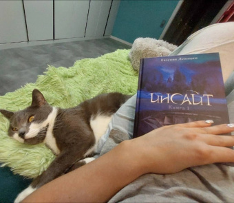 Евгения Левицки: Инсайт. Книга I