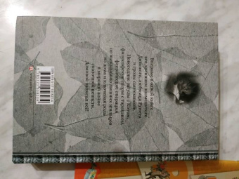 Евгений Чеширко: Дневник Домового