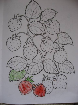 Что растет в саду