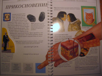 Грехам, Уолкер: Дискавери:  Анатомия человека
