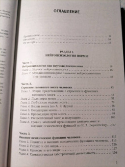 Татьяна Визель: Основы нейропсихологии. Теория и практика
