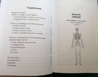 Сью Блэк: Записано на костях. Тайны, оставшиеся после нас